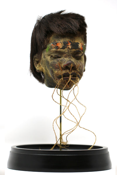Authentic Shrunken Head "Tsantsa"