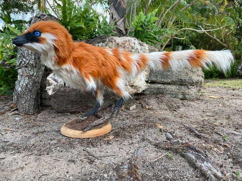 Sinosauropteryx w/ Faux Proto-Feathers