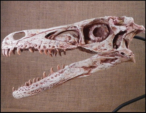 Cast Replicas and Models