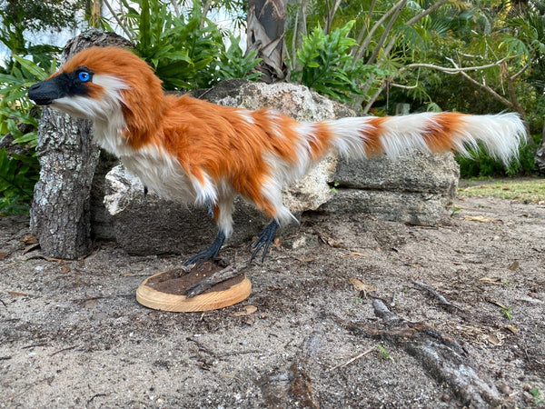 Sinosauropteryx w/ Faux Proto-Feathers