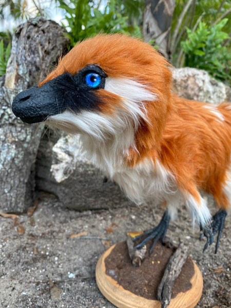 Sinosauropteryx w/ Faux Proto-Feathers