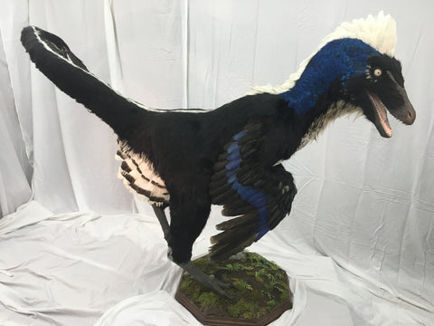 Deinonychus "Raptor" w/ Real Feathers